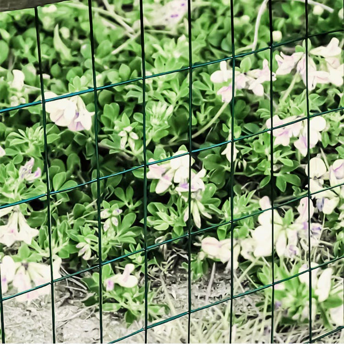 Fencer Wire 3 ft. x 50 ft. 16-Gauge Green PVC Coated Welded Wire Fence with Mesh Size 3 inch x 2 inch (new)