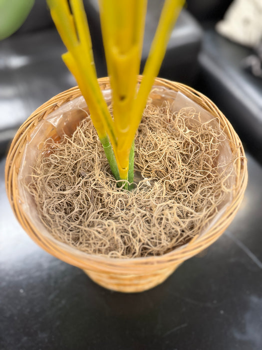 Artificial Plant