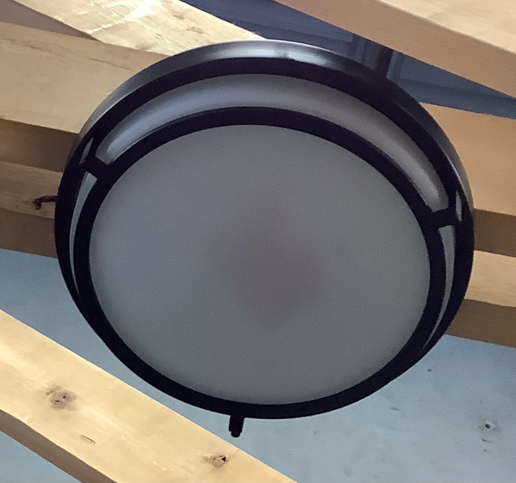 Savoy House 2-Light Ceiling Light in Matte Black (New)