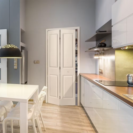 Masonite 30-inch x 80-inch Primed 2 Panel Hollow Core Smooth Interior Bi-fold Door (New)