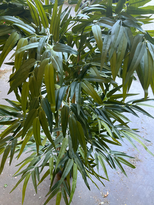 4ft Twiggy Bamboo Tree (new)