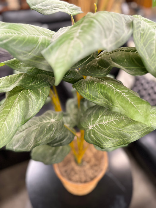 Artificial Plant