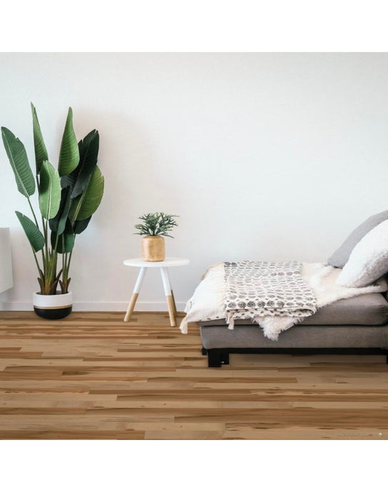 Dubeau Floors Solid Maple Flooring Raphia Matte ¾-inch Thick x 3¼-inches Wide x Varying Length (20 sq.ft. / case) (new)