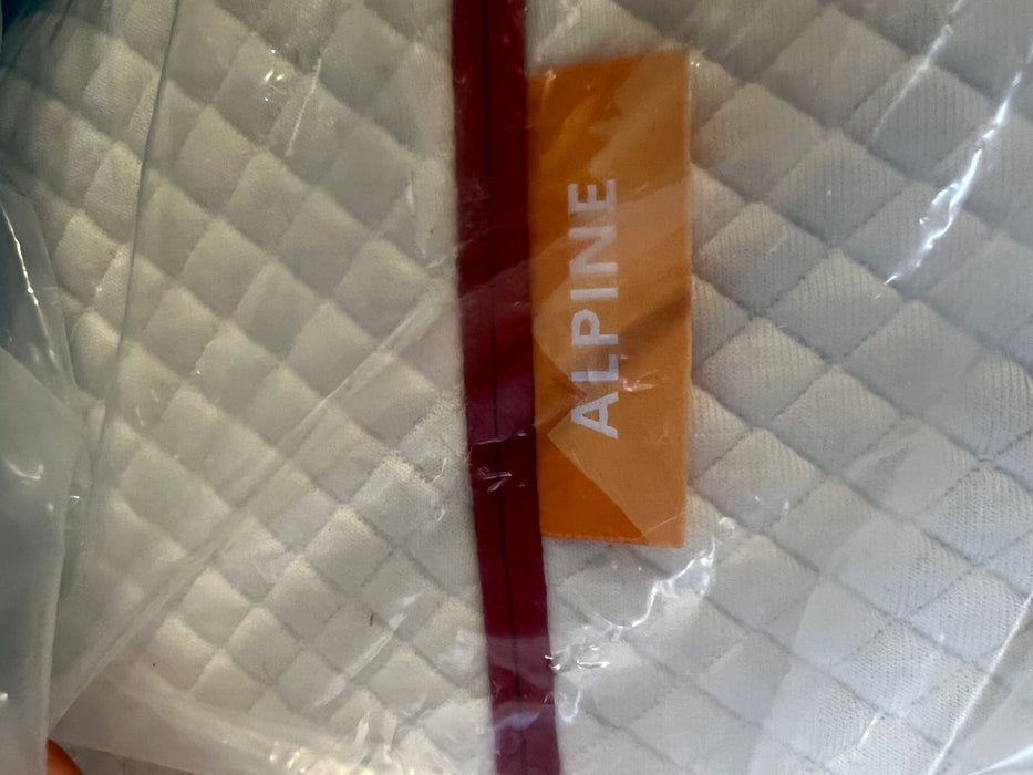 Alpine 11" Double Mattress (Used)