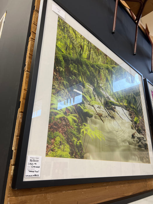 “Forest Two” - Framed Artwork