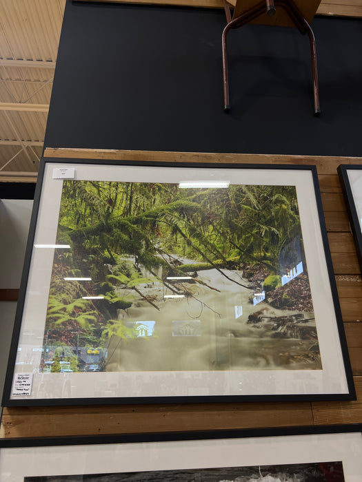 “Forest Two” - Framed Artwork