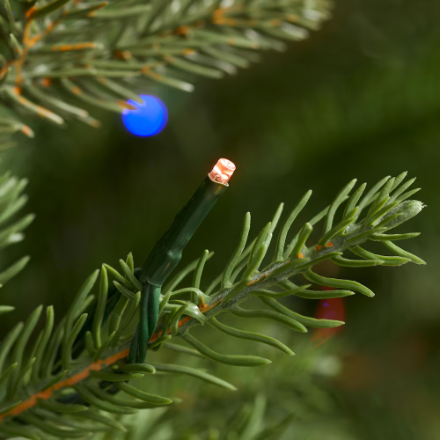 12 ft Grand Duchess Twinkling Balsam Fir LED Pre-Lit Tree T39 Powered by Hubspace (New)