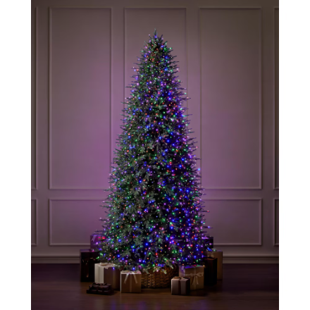 12 ft Grand Duchess Twinkling Balsam Fir LED Pre-Lit Tree T39 Powered by Hubspace (New)