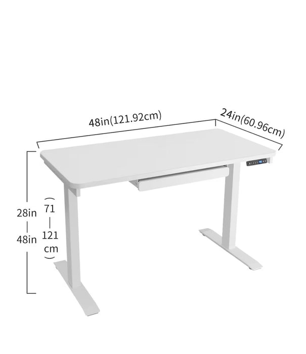 Motionwise 24x48 Electric Standing Desk with White Anti-Bacterial Desktop (new)