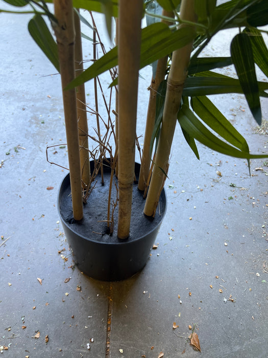 4ft Twiggy Bamboo Tree (new)