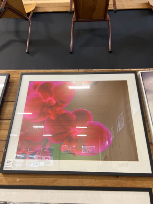 Flower Framed Artwork