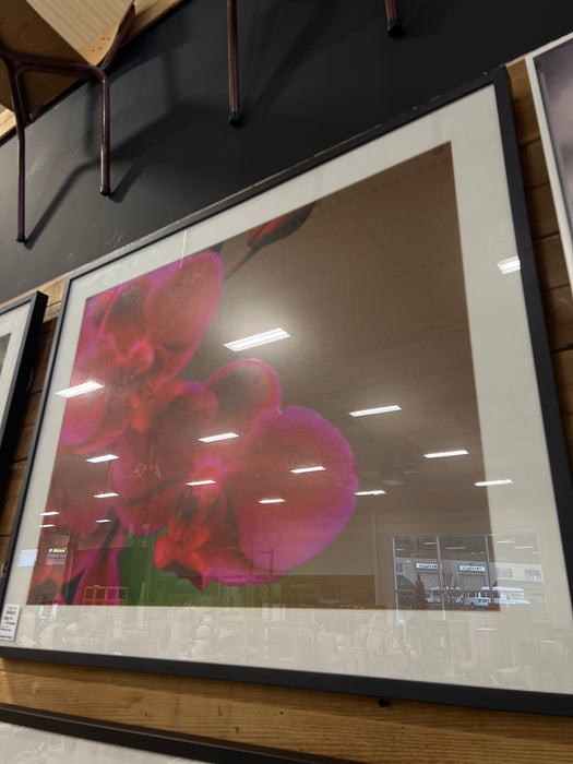 Flower Framed Artwork