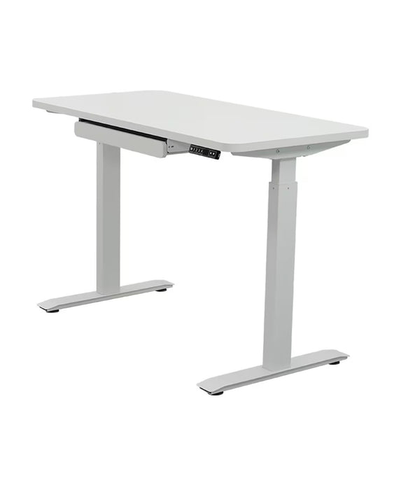 Motionwise 24x48 Electric Standing Desk with White Anti-Bacterial Desktop (new)