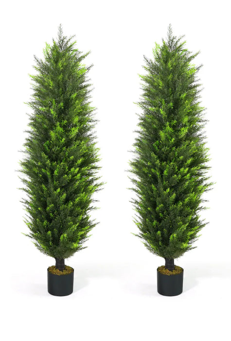 CAPHaus 5 ft. Green Artificial Cedar Tree, UV Resistant (Set of 2) (New)