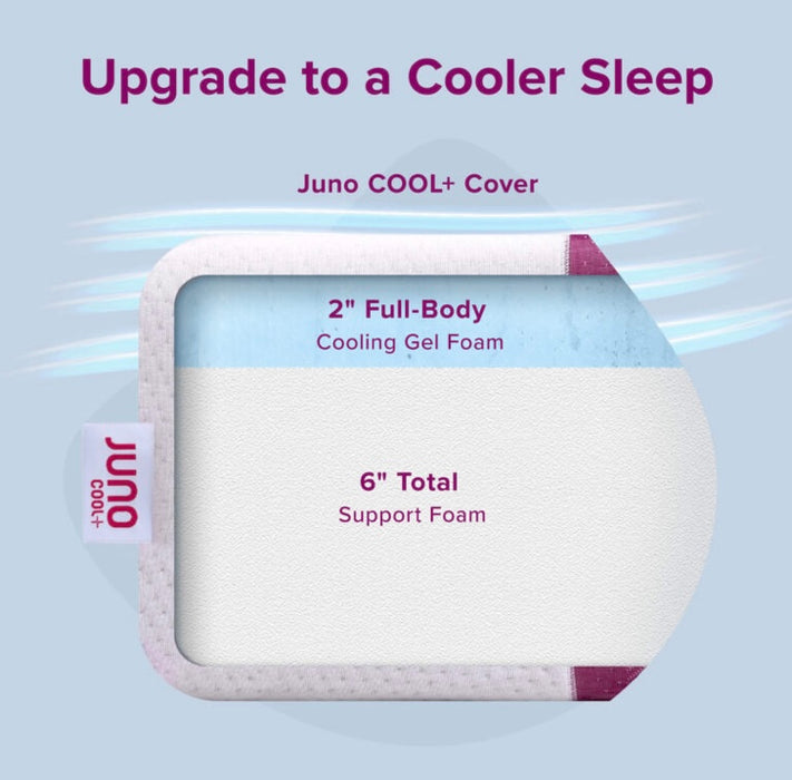 Juno 8" Queen Mattress