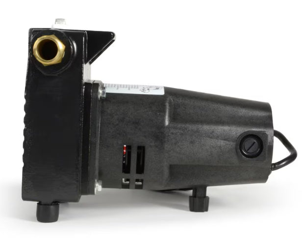 Everbilt Cast Iron Non-Submersible Transfer Pump