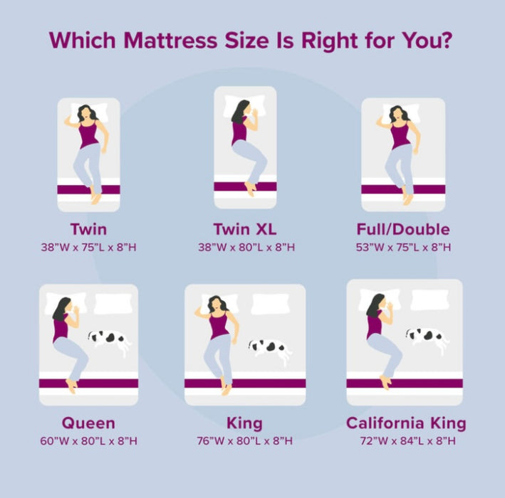 Juno 8" Queen Mattress