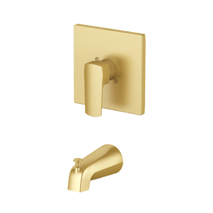 HDG Single Handle Wall Mount 1-Spray Bathtub Shower Faucet with Rain Shower Head in Matte Gold (New)