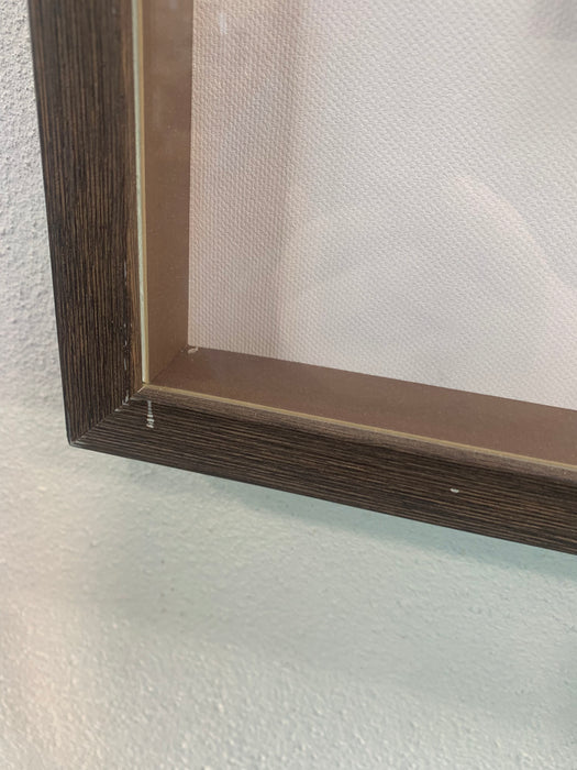 Framed Cactus Photograph