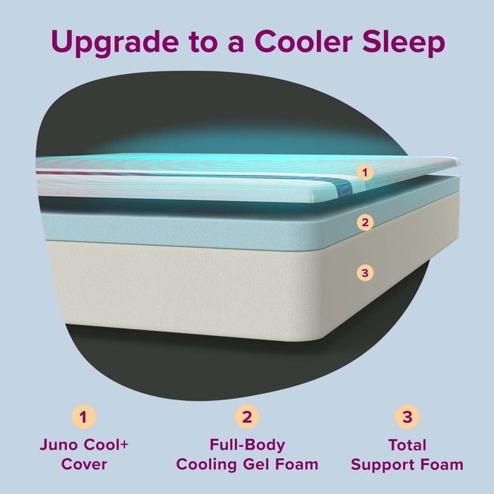 Queen 8" Cool+ Mattress (USED)