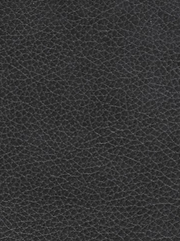 Digio Leather Sofa