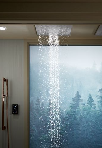 Kohler Real Rain Showerhead