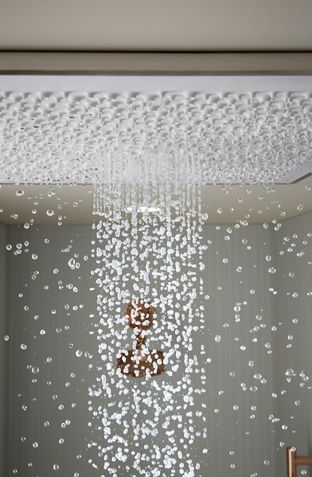 Kohler Real Rain Showerhead