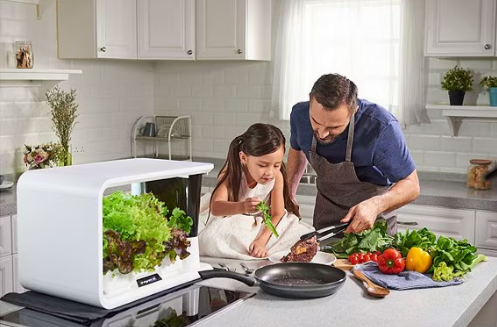 Aspara Hydroponic Smart Growing System - Mini Indoor Garden