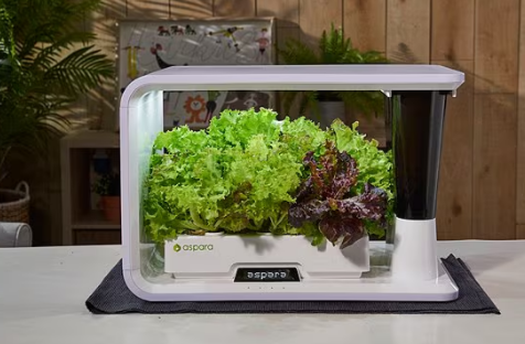 Aspara Hydroponic Smart Growing System - Mini Indoor Garden