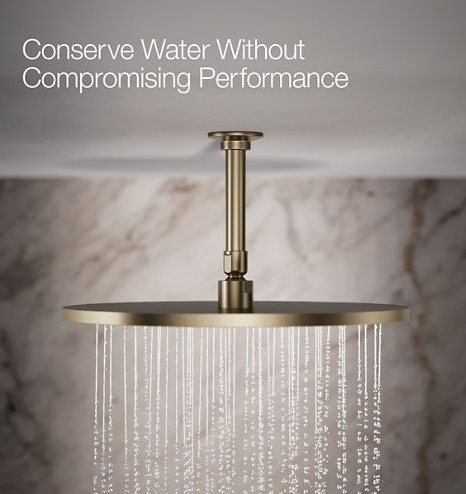 Kohler Bronze 14" Rainhead