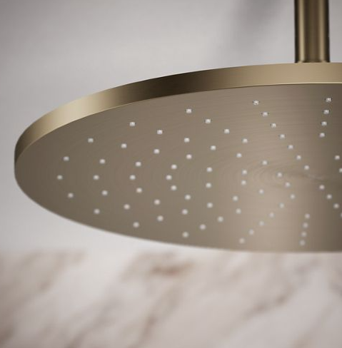 Kohler Bronze 14" Rainhead