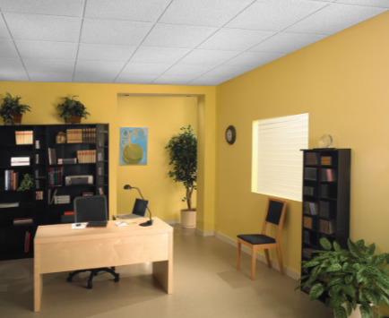 Armstrong Ceilings Ceiling Tiles