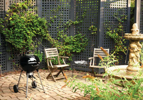 Napoleon Charcoal BBQ