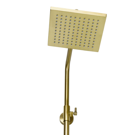 Gold Shower/Tub System