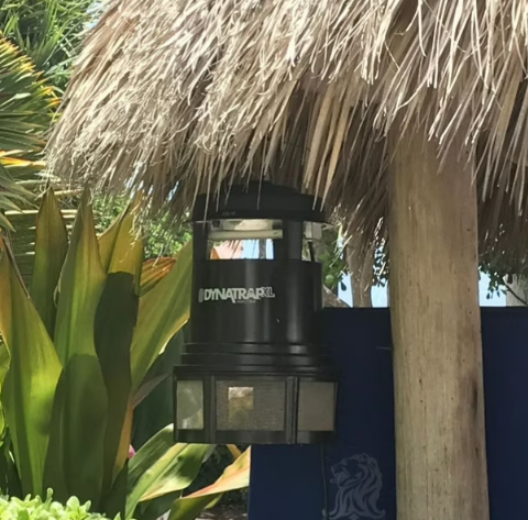 Dynatrap Mosquito Trap