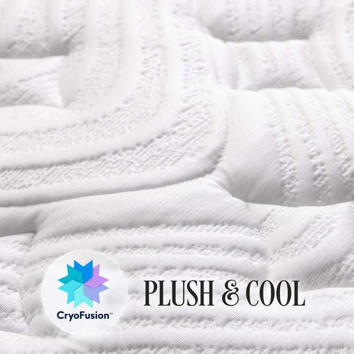 Twin Choice Hybrid Mattress (Used)