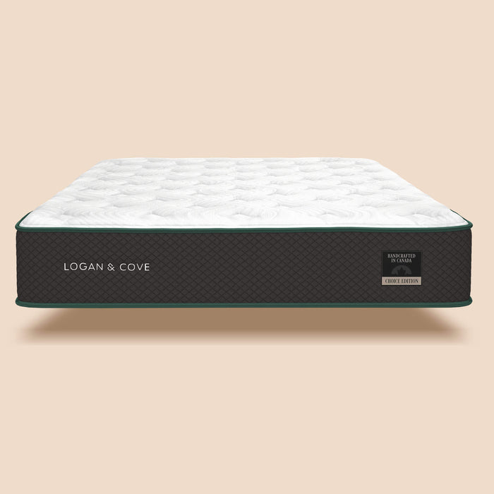 Twin Choice Hybrid Mattress (Used)