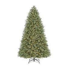 7.5' Christmas Tree-Fraser Fir