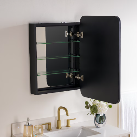 WELLFOR LEA 20 in W x 30 in H Surface or Recessed Mount Medicine Cabinet with Mirror Single Door in Black