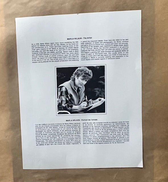 Framed Nature Painting