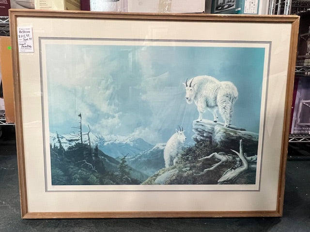 Framed Nature Painting