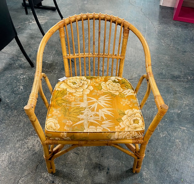 Wicker Armchair with Cushion (used)