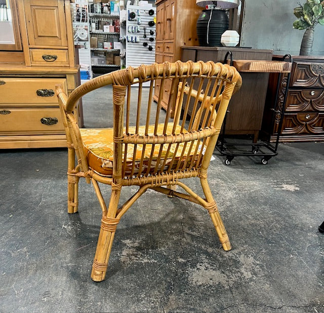 Wicker Armchair with Cushion (used)