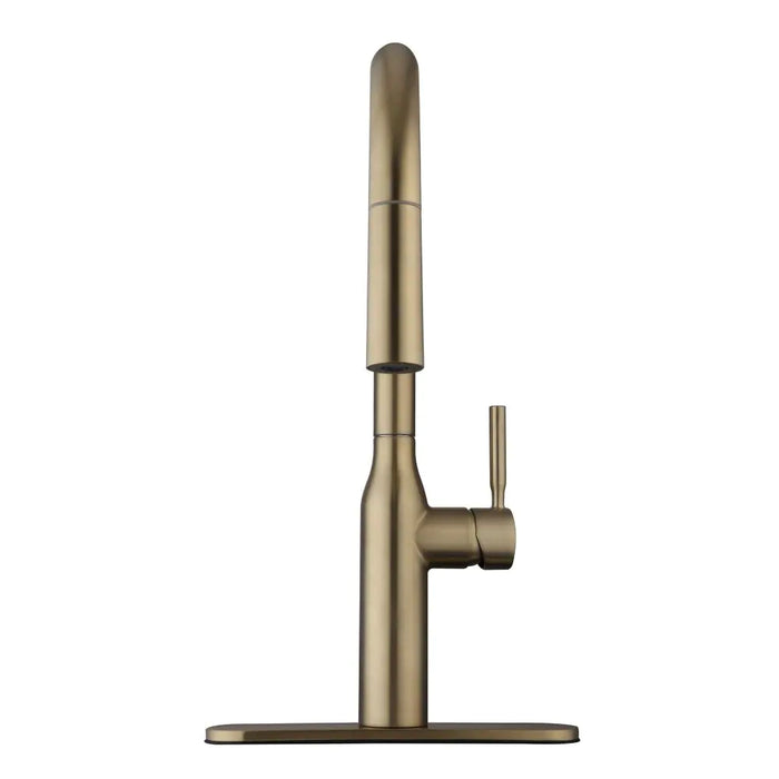 Pull-Down Kitchen Faucet