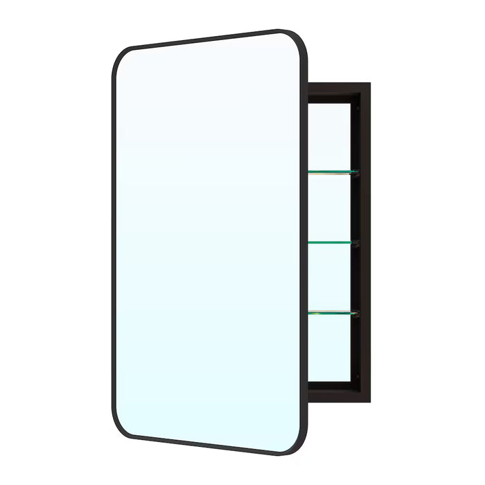 WELLFOR LEA 20 in W x 30 in H Surface or Recessed Mount Medicine Cabinet with Mirror Single Door in Black