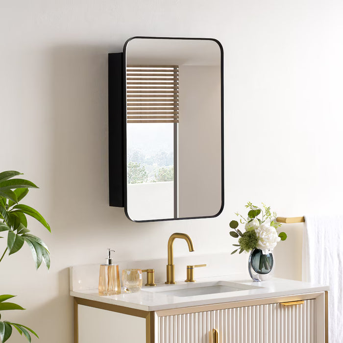 WELLFOR LEA 20 in W x 30 in H Surface or Recessed Mount Medicine Cabinet with Mirror Single Door in Black