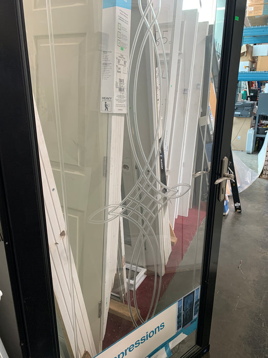 Etched Glass Storm Door